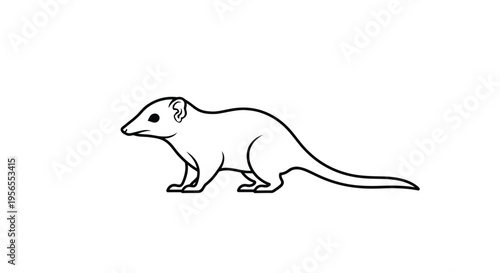 A line drawing of a weasel standing on a in a flat vector style isolated on white background