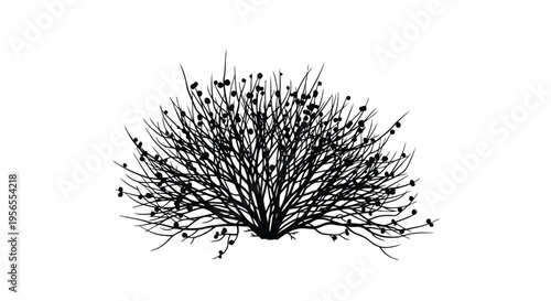Black silhouette of a tree with thin branches and buds on a isolated on white background