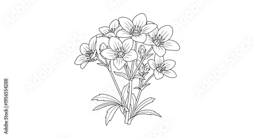 A delicate line drawing of a bouquet of flowers in a minimalist flat vector style isolated on white background