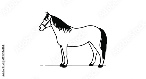 Black and white line art horse standing alone in minimalist flat design style isolated on white background