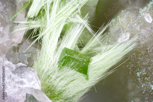 Canvas Print Green fibrous Mixite going through a Baryte