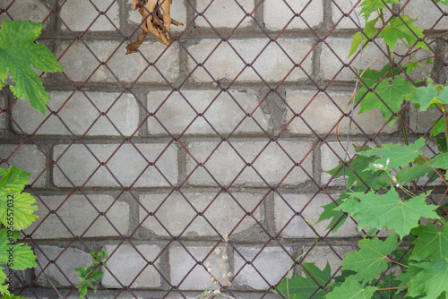 A wall made of sand-lime (white) brick covered with metal mesh. Green plant leaves grow on the sides.