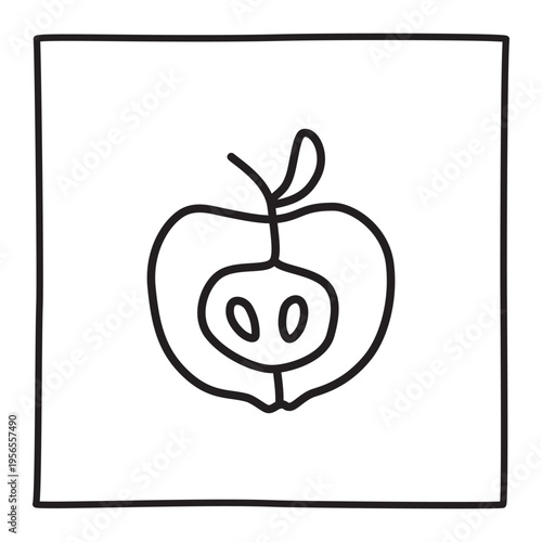 Apple half doodle icon hand drawn with thin line in minimalistic style. Vector illustration isolated on white background