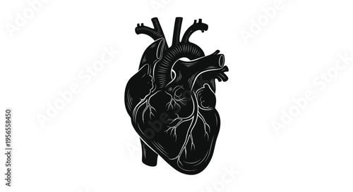 Detailed anatomical heart illustration in stark black silhouette
