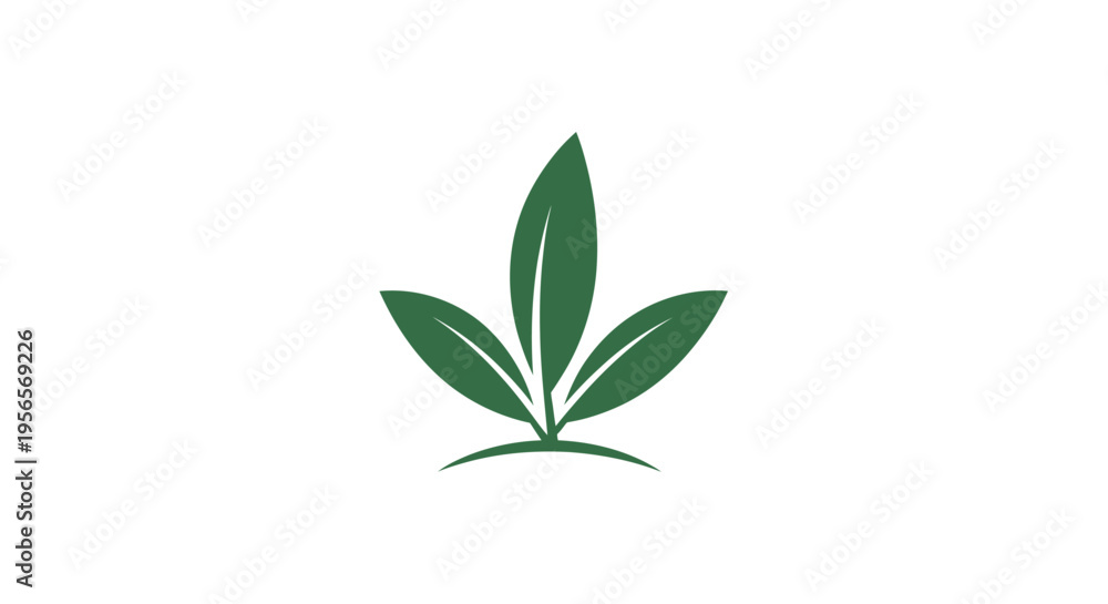 Obraz premium Three Fresh Green Leaves Design Element Isolated White Background