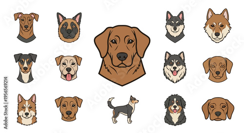 Set of Various Dog Breed Head Portraits and Full Body Illustration
