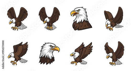 Set of Bald Eagle Illustrations in Various Dynamic Poses