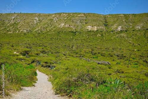 Quadro su tela Dry Hiking Trail at Parque Jerusalen (Malchingui, Ecuador)