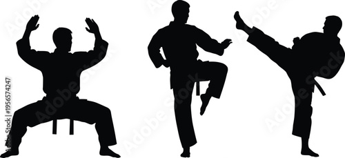 Black Silhouettes of Karate Fighters Performing Martial Arts Poses Including High Kicks and Defensive Stances Isolated on a White Background
