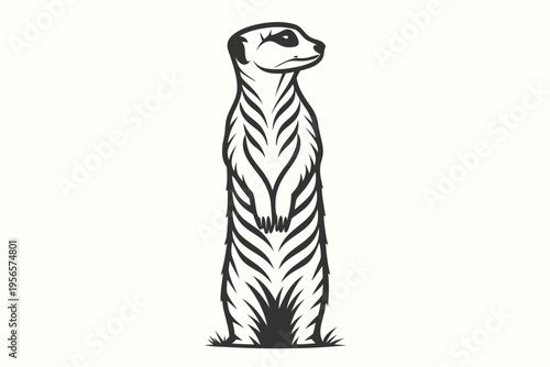 Meerkat stands upright on its hind legs while curiously observing something near in monochrome