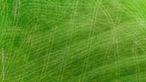 Abstract lawn stripes from above, green grass texture