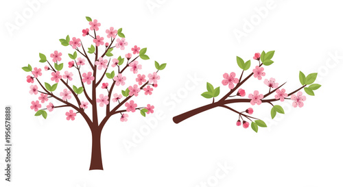 Two blossoming cherry branches with pink flowers and lush green leaves create a vibrant spring scene silhouette high quality professional detailed