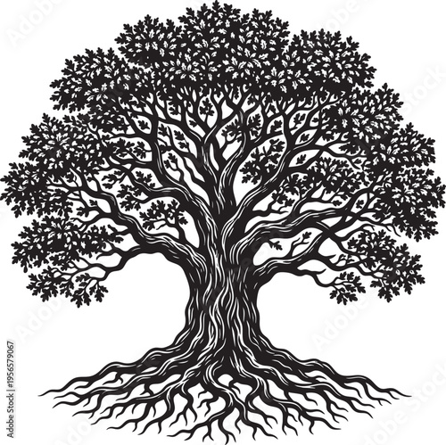 A detailed black and white illustration of a majestic oak tree with sprawling roots and leaves isolated on transparent background, Vector