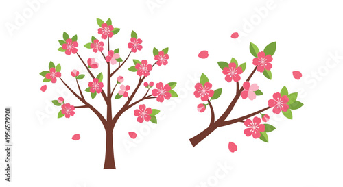 Two blossoming branches with pink flowers and falling petals present a delicate spring scene a simple silhouette high quality professional detailed