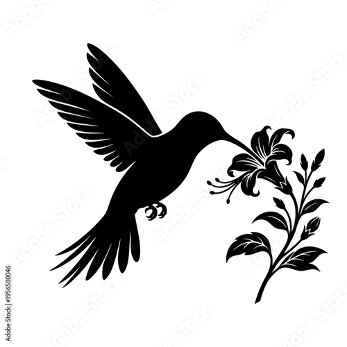 A detailed black silhouette of a hummingbird hovering gracefully near a blooming lily flower stem isolated on transparent background, Vector