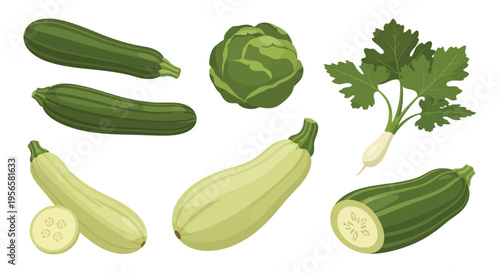 A vibrant collection of fresh vegetables including zucchini cabbage and parsley depicted in a stylized silhouette high quality professional detailed modern