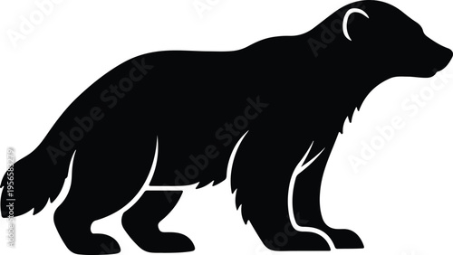 Vector silhouette of a wild wolverine standing on a white background design