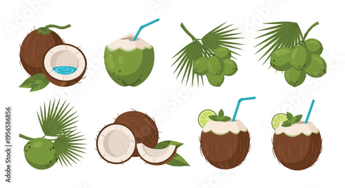 Collection of coconuts in various stages from whole to opened with fronds
