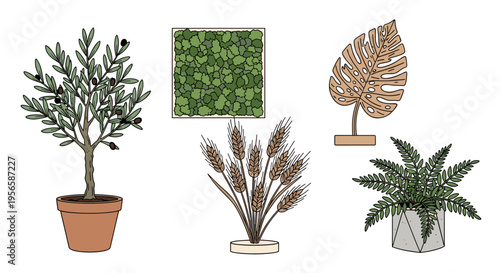 Collection of potted plants and decorative botanical elements in a minimalist illustration style