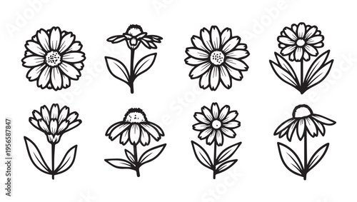 Collection of eight hand-drawn daisy flowers with stems and leaves isolated on white stock illustration