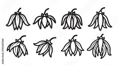 Collection of eight simple line art flowers on white background various angles stock illustration