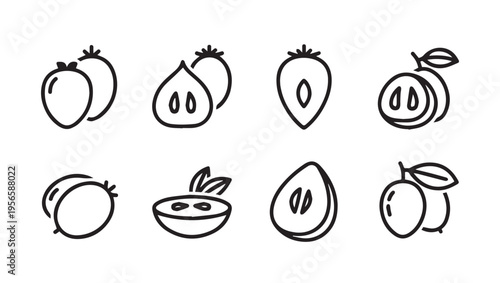 Collection of Fruit Icons: Whole and Halved Fruits with Seeds Line Art Style