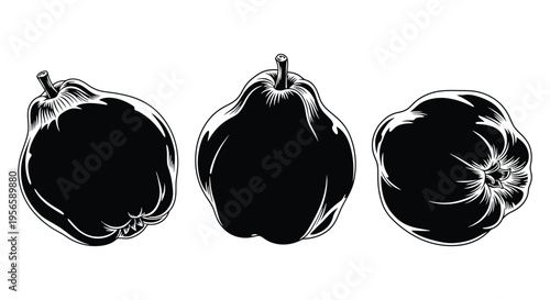 Three pumpkins displayed in a vintage woodcut style showcasing varying perspectives a striking silhouette high quality professional detailed modern elegant
