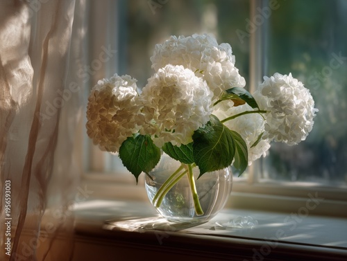 White Hydrangea Flowers in a Clear Vase by a Window in Daylight