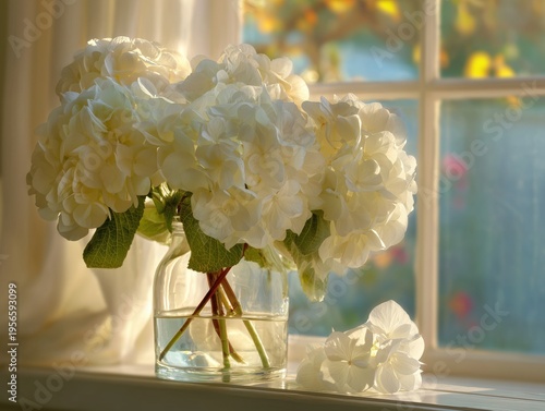 Hydrangeas in a Glass Vase on a Windowsill in Bright Sunlight During the Afte...