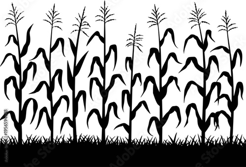 Black Silhouette Corn Stalks and Grass White Background Agricultural Field Pattern