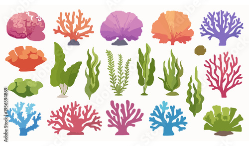 Coral and ocean plants vector set with underwater flora, seaweed, and tropical seabed elements isolated on white