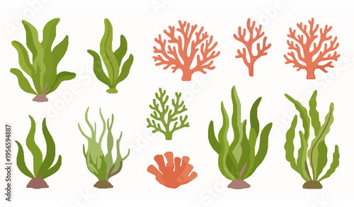 Coral and tropical ocean plants vector set isolated on white background underwater flora and seaweed elements
