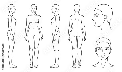 Female body template with front back and side view