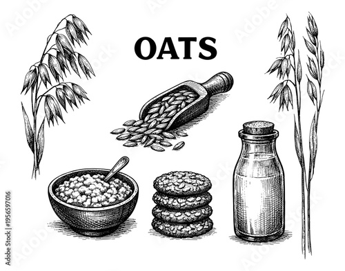 Oat food set with oatmeal porridge cookie and milk sketch