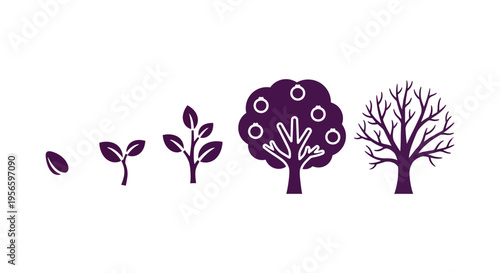 A visual representation of a plant s life cycle from seed to mature tree depicted in a dark silhouette high quality professional