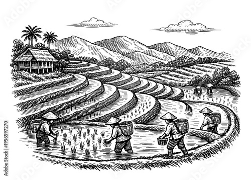 Terraced rice field landscape with farmer and hut hand drawn sketch