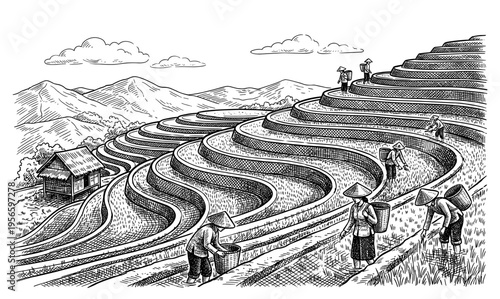 Terraced rice field with farmer and mountain hand drawn sketch