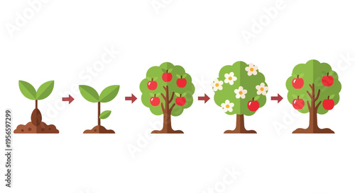 A visual depiction of a tree s growth stages from seedling to maturity with blossoming and fruiting silhouette high quality professional detailed