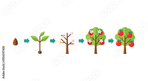A visual depiction of an apple tree s life cycle from seed to fully grown fruit bearing tree silhouette high quality professional detailed