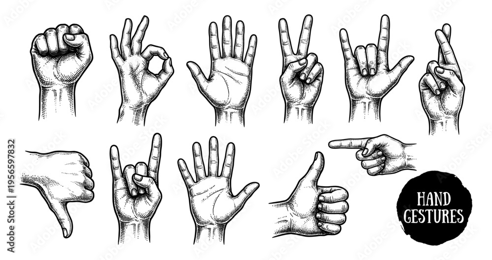 Fototapeta premium Hand gesture set with like ok rock victory and fist hand drawn