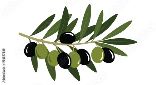 A branch of olive tree displaying green and black olives captured in a striking flat silhouette high quality professional detailed modern