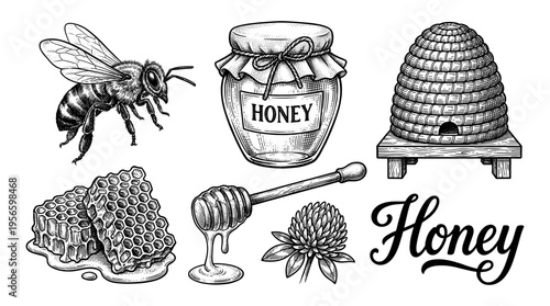 Honey bee set with jar honeycomb beehive clover and dipper hand drawn