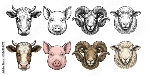 Farm animal head set with cow pig ram and sheep hand drawn