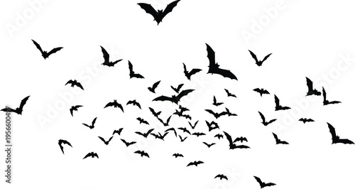 Flock of birds in flight formation
