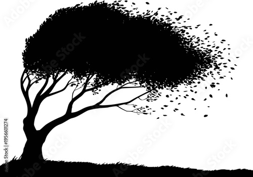 Black silhouette of a solitary tree with leaves scattering in the wind white background