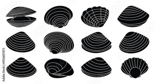 A collection of various seashell shapes and forms is presented in a stark minimalist black silhouette high quality professional detailed modern