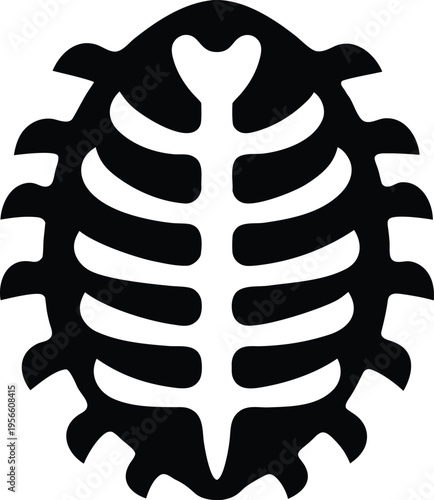 a turtle from above with segmented shell pattern the entire image silhouette vector illustration on transparent background