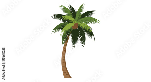 A tall palm tree with a curved brown trunk and green fronds is centrally illustrated on a plain white background.