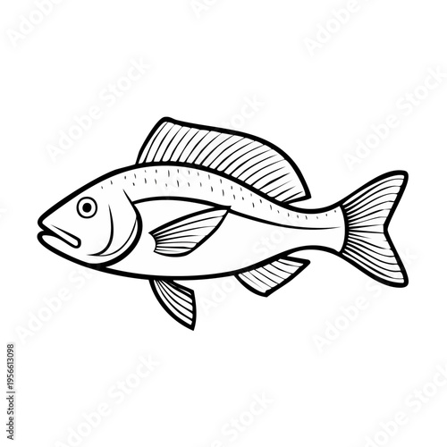 Single Fish Outline Drawing Aquatic Animal Illustration in Black and White Line Art