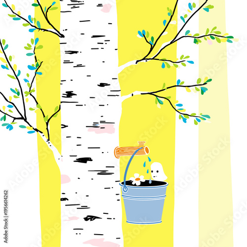 Spring Birch Sap Collection Scene